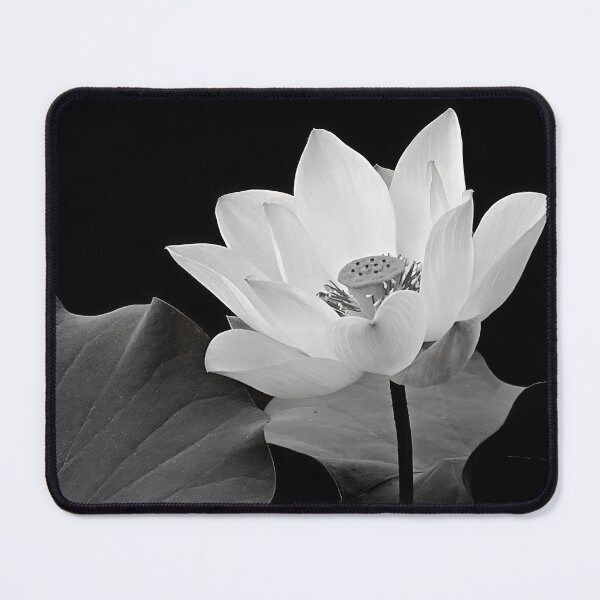 Item preview, Lotus Flower in Black and White  designed and sold by Linda Walsh.