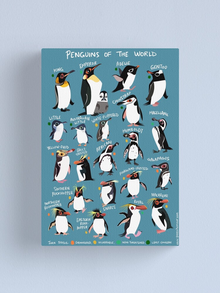 Alternate view of Penguins of the World Canvas Print