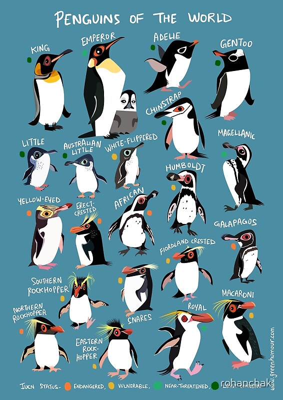 "Penguins Of The World" By Rohanchak | Redbubble