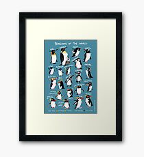 Pinguine der Welt Gerahmtes Wandbild