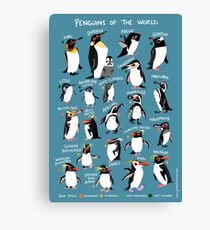Penguins of the World Canvas Print