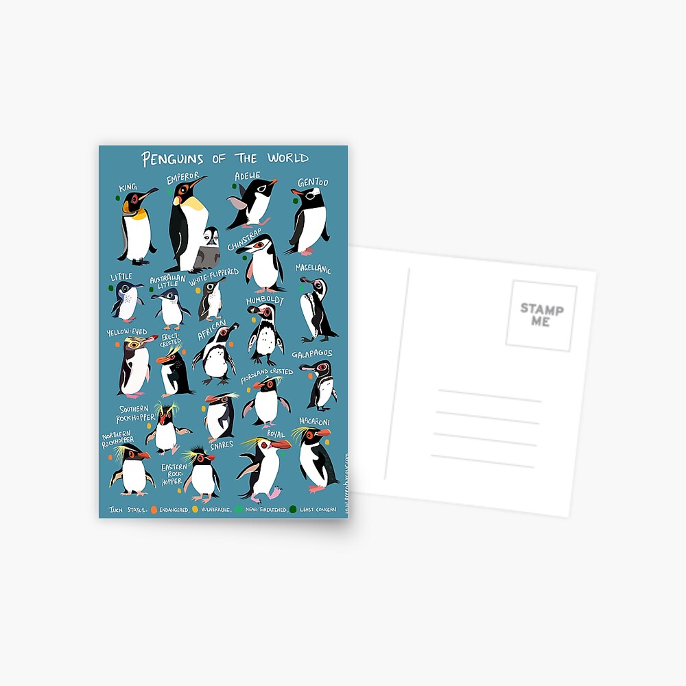 Penguins of the World Postcard