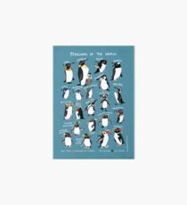 Penguins of the World Art Board
