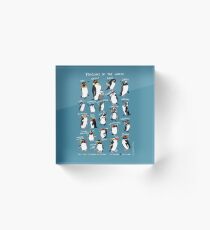 Penguins of the World Acrylic Block