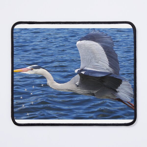 Item preview, Freedom majestic flight towards the middle of the sea designed and sold by Mechi59.