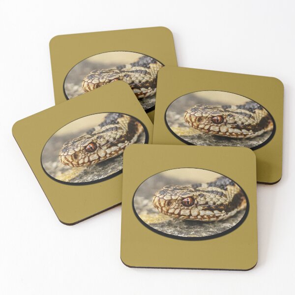 Item preview, Adder head designed and sold by Dalyndigital Photography.