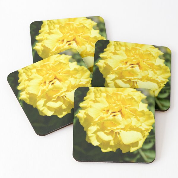 Item preview, Zenith Lemon Yellow French Marigold designed and sold by MercerImages.