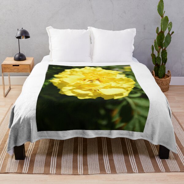 Item preview, Zenith Lemon Yellow French Marigold designed and sold by MercerImages.