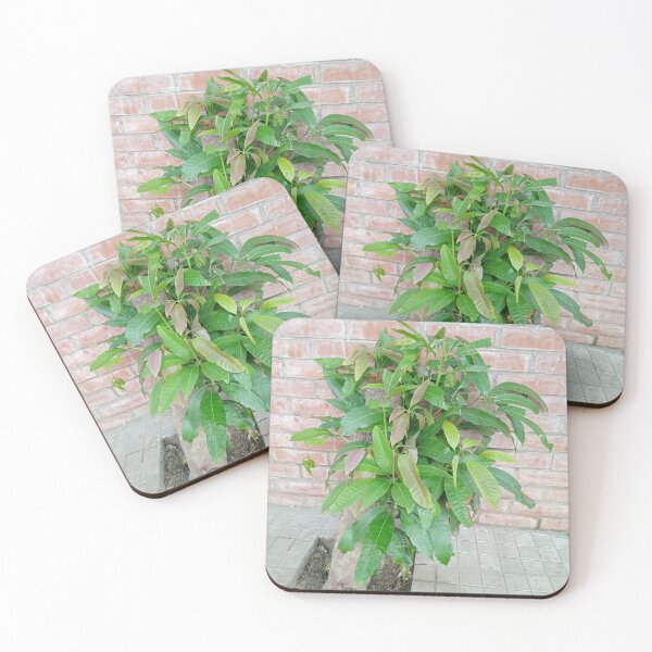 Item preview, Green Mango Tree designed and sold by suvashbarman.