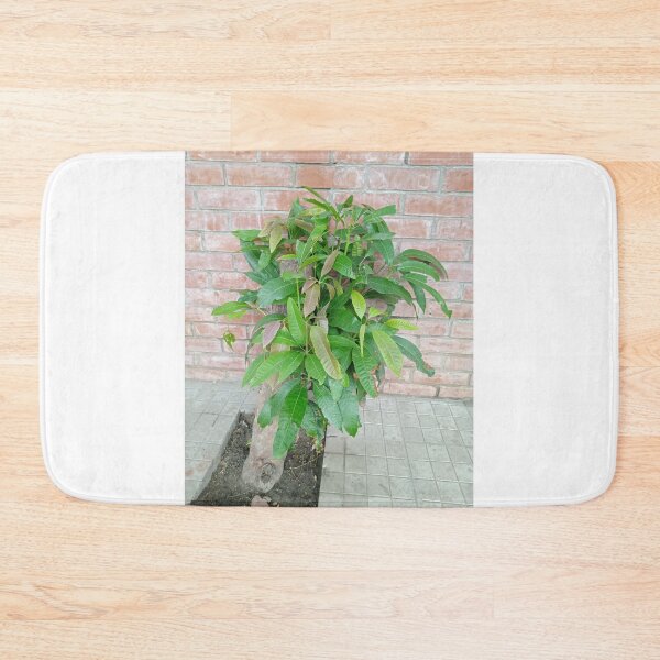 Item preview, Green Mango Tree designed and sold by suvashbarman.