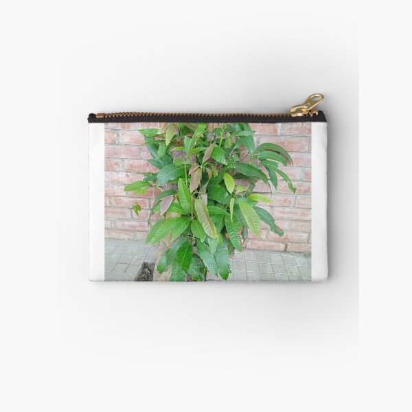 Item preview, Green Mango Tree designed and sold by suvashbarman.