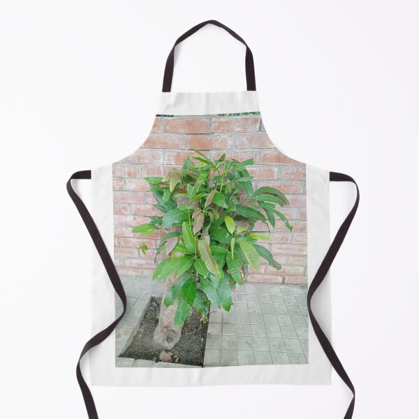 Item preview, Green Mango Tree designed and sold by suvashbarman.
