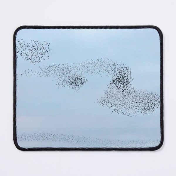 Item preview, Shapeshifting starlings designed and sold by GreyFeatherPhot.