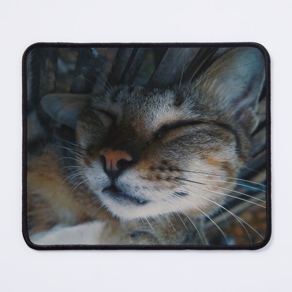 Item preview, cat gonna sleep designed and sold by Iosifkaiser1.