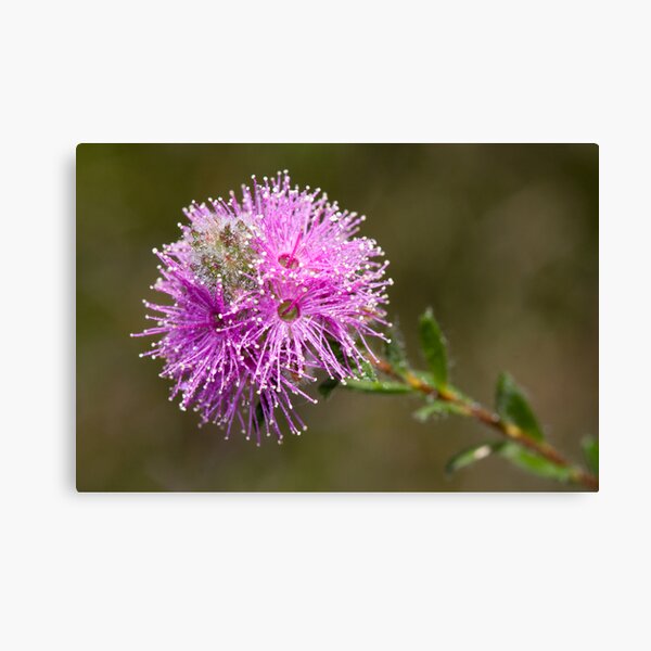 Item preview, Pinky designed and sold by Mark van den Hoek.