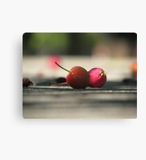 Crabapples Canvas Print