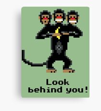 Three-Headed Monkey Canvas Print