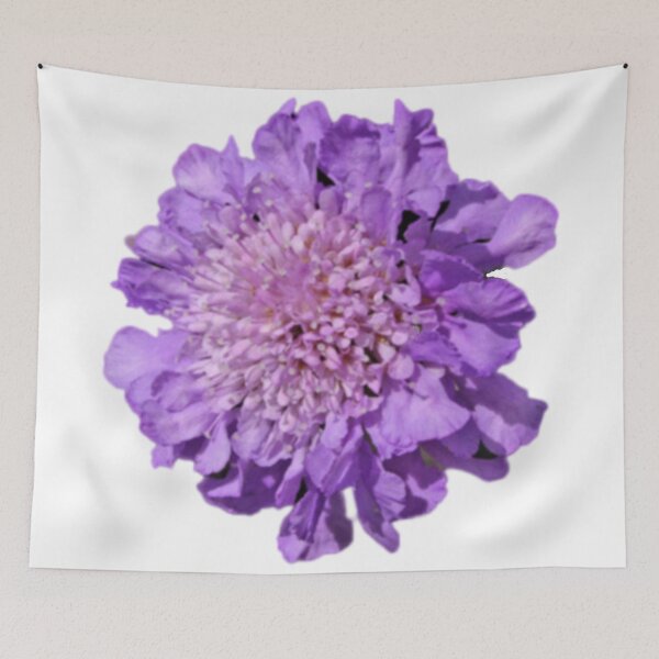 Item preview, Pincushion Flower designed and sold by RedLeafPine.