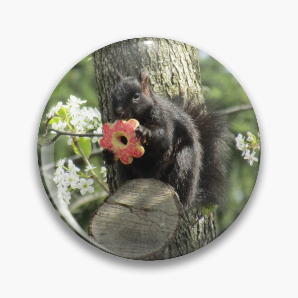 Item preview, Squirrel Eating a Cookie designed and sold by silsketches.