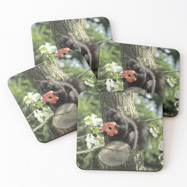 Item preview, Squirrel Eating a Cookie designed and sold by silsketches.