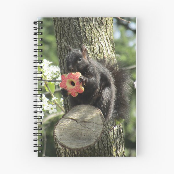 Item preview, Squirrel Eating a Cookie designed and sold by silsketches.