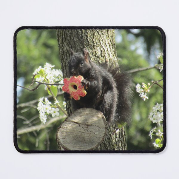Item preview, Squirrel Eating a Cookie designed and sold by silsketches.