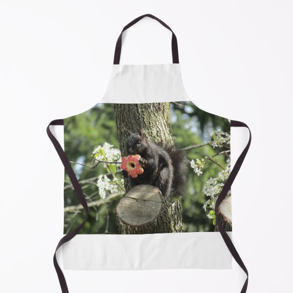 Item preview, Squirrel Eating a Cookie designed and sold by silsketches.