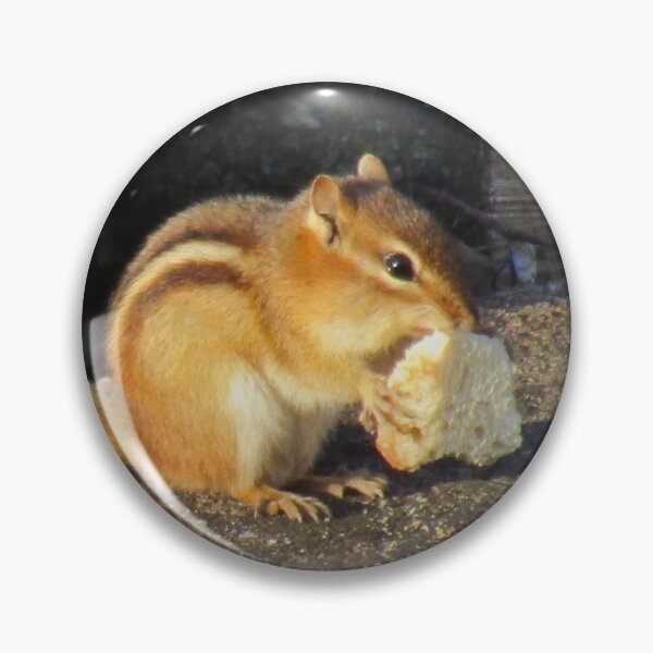 Item preview, Chipmunk Eating Bread designed and sold by silsketches.