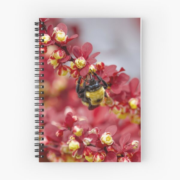 Item preview, Bumblebee in Barberry designed and sold by Cblifeisgood.