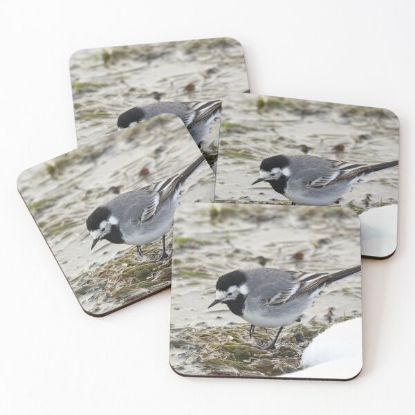 Item preview, Anything to eat here. White wagtail designed and sold by Jouko Lehto Photography.