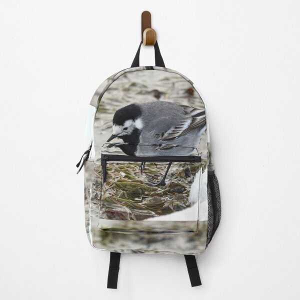 Item preview, Anything to eat here. White wagtail designed and sold by Jouko Lehto Photography.