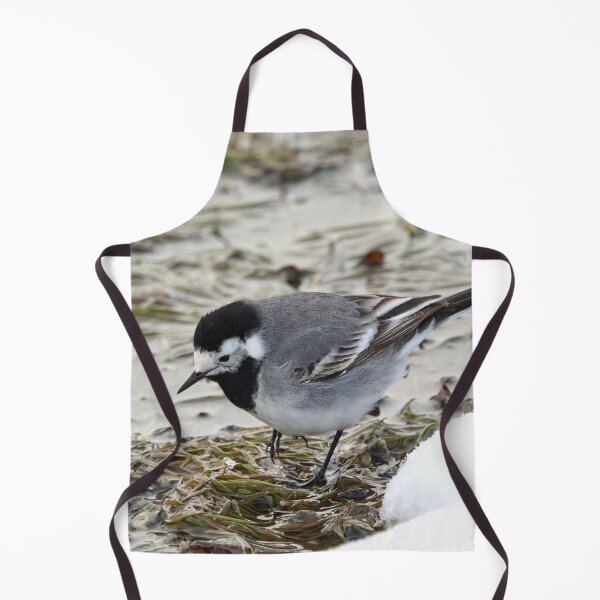 Item preview, Anything to eat here. White wagtail designed and sold by Jouko Lehto Photography.