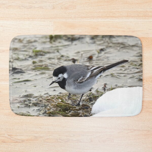 Item preview, Anything to eat here. White wagtail designed and sold by Jouko Lehto Photography.