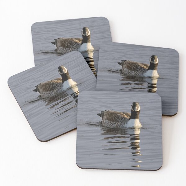 Item preview, Following you.  designed and sold by Jouko Lehto Photography.