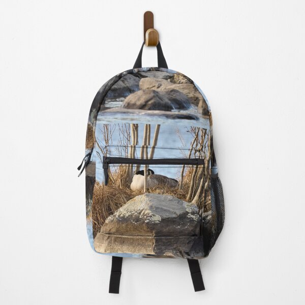 Item preview, Sleep on the eggs. Canada goose designed and sold by Jouko Lehto Photography.