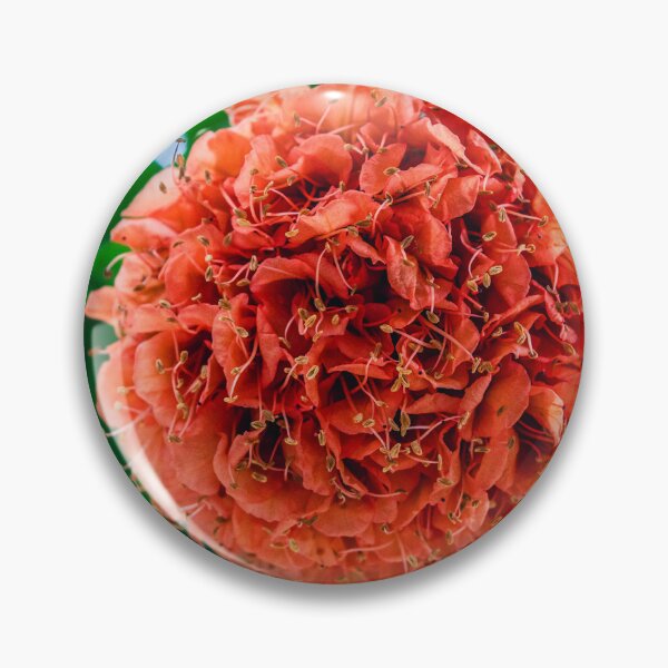 Artikelvorschau, Exquisiter orangefarbener Ixora-Cluster entworfen und verkauft von Shinola.