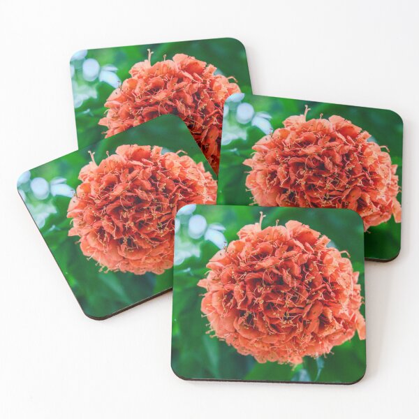 Item preview, Exquisite Orange Ixora Cluster designed and sold by Shinola.