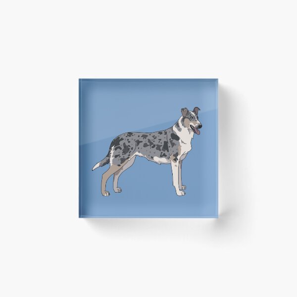Item preview, Merle Smooth Collie designed and sold by marleyfinn.