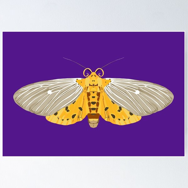 Item preview, Tropical Tiger Moth  designed and sold by okaymoose.