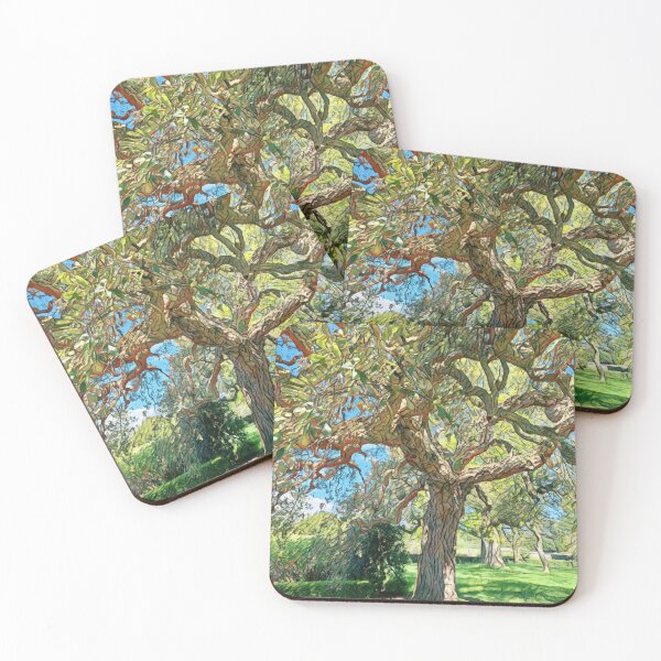 Item preview,  #3 National Botanic Gardens Dublin 05.05.2024 designed and sold by IntFix.