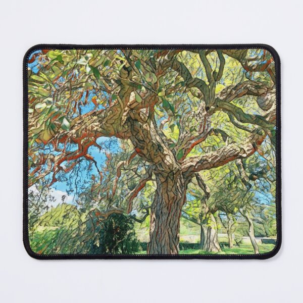 Item preview,  #3 National Botanic Gardens Dublin 05.05.2024 designed and sold by IntFix.