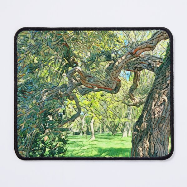 Item preview, #4 National Botanic Gardens Dublin 05.05.2024 designed and sold by IntFix.