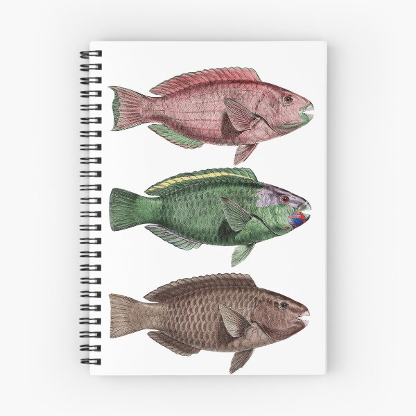 Item preview, Trio of dated fish designed and sold by KAY Artists.