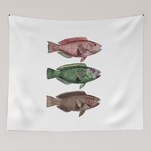 Item preview, Trio of dated fish designed and sold by KAY Artists.