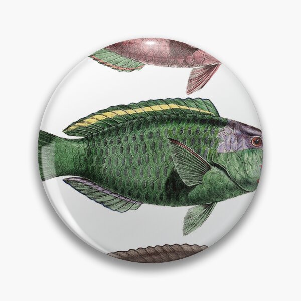 Item preview, Trio of dated fish designed and sold by KAY Artists.