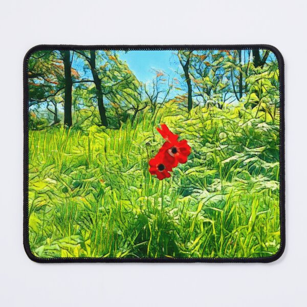 Item preview, #5 National Botanic Gardens Dublin 05.05.2024 designed and sold by IntFix.