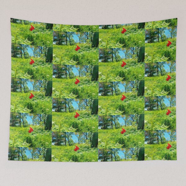 Item preview, #5 National Botanic Gardens Dublin 05.05.2024 designed and sold by IntFix.