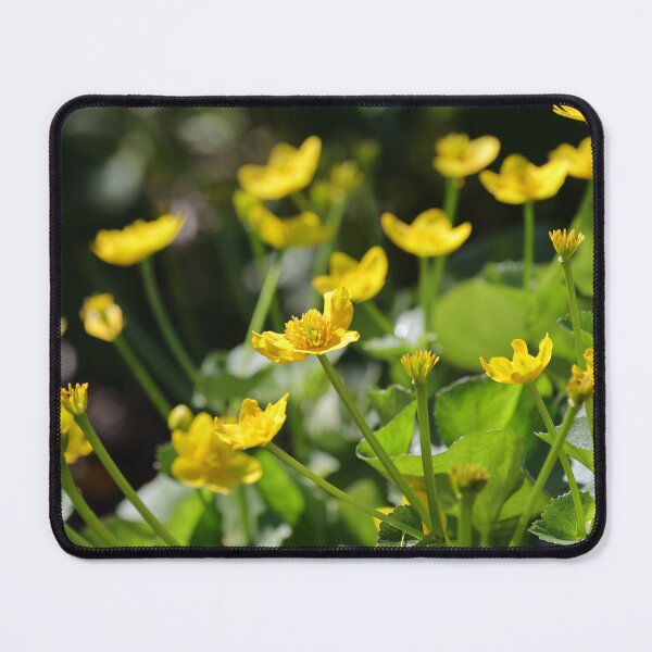 Item preview, Spring Flowers - Marsh Marigold designed and sold by ztrnorge.