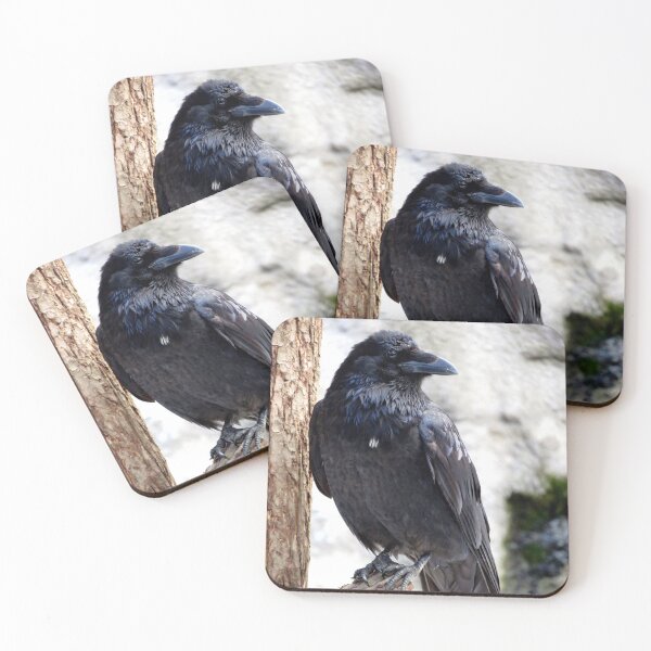 Item preview, Perching Raven designed and sold by sharkbait83.