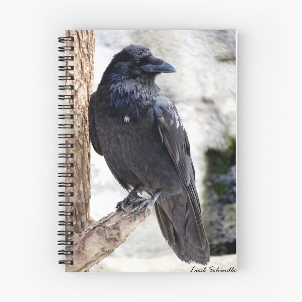 Item preview, Perching Raven designed and sold by sharkbait83.